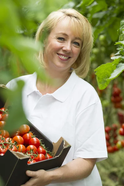 Blond kvinna fyrtio år gammal arbetar i ett växthus — Stockfoto