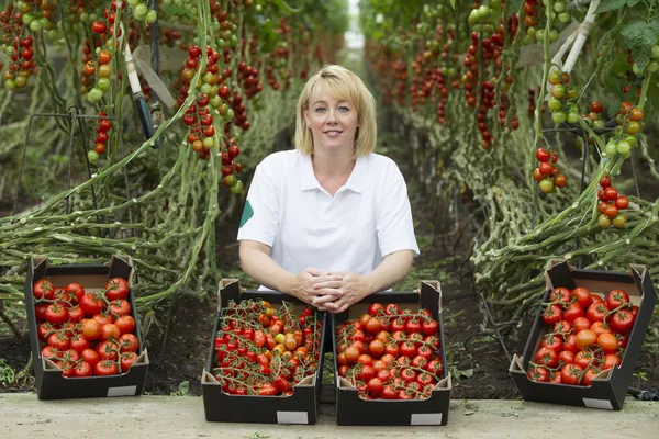 Blond kvinna fyrtio år gammal arbetar i ett växthus — Stockfoto
