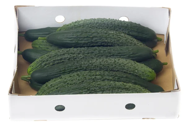 Fresh snake cucumber in a box isolated on white background — Stock Photo, Image