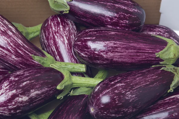 Verse aubergine, aubergine geïsoleerd op witte achtergrond — Stockfoto