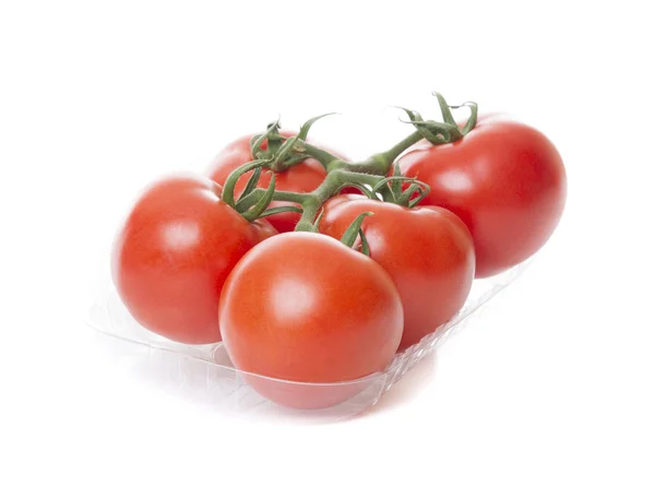半透明トレイに白い背景で隔離の新鮮なトマト — ストック写真
