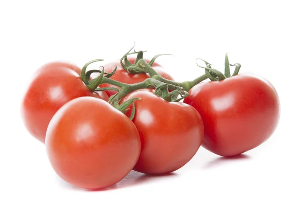 白い背景に隔離された新鮮なトマト — ストック写真