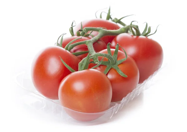 Verse tomaten geïsoleerd op een witte achtergrond in transparant lade — Stockfoto