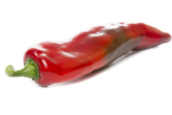 Fresh pepper isolated on white background — Stock Photo, Image