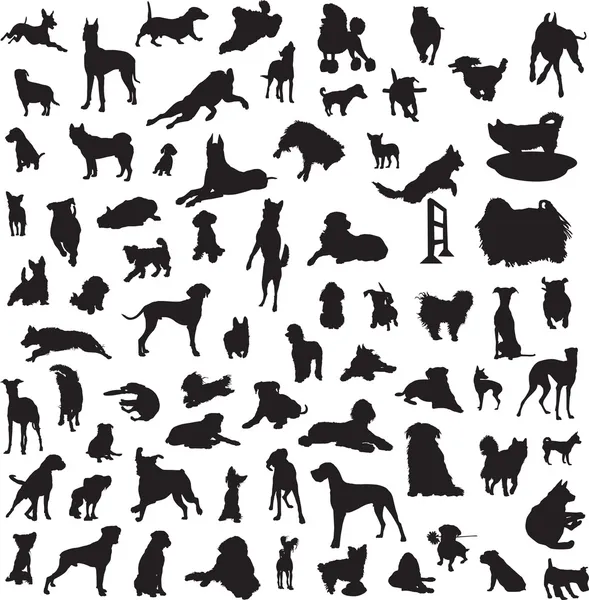 Large collection of different silhouettes of dogs — Stock Vector