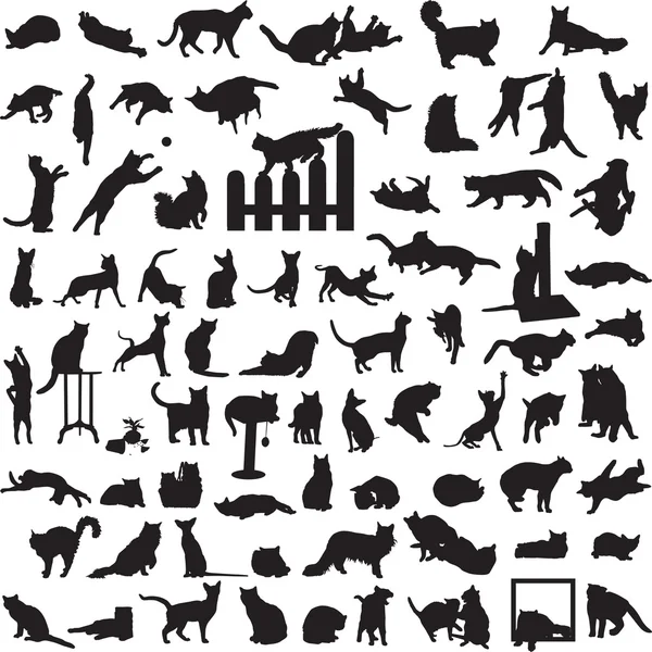 Ensemble différent de silhouettes de chats — Image vectorielle