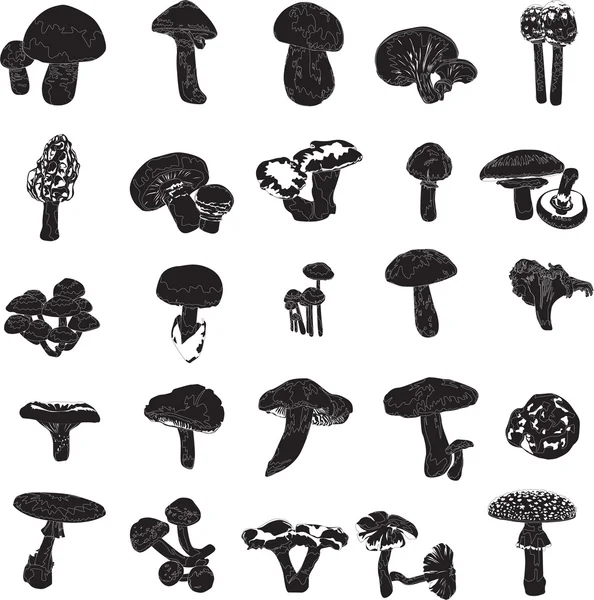 Black and white silhouettes of mushrooms — Stock Illustration Black and white silhouettes of mushrooms Royalty Free Stock Illustrations