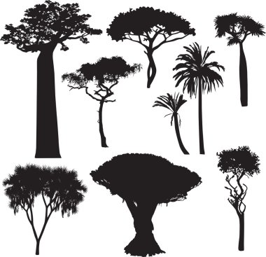 Afrika ağaç silhouettes