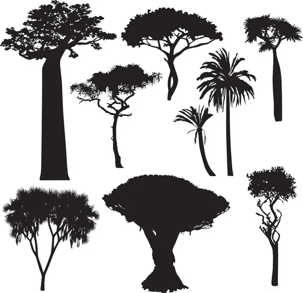 Silhouettes d'arbres africains — Image vectorielle