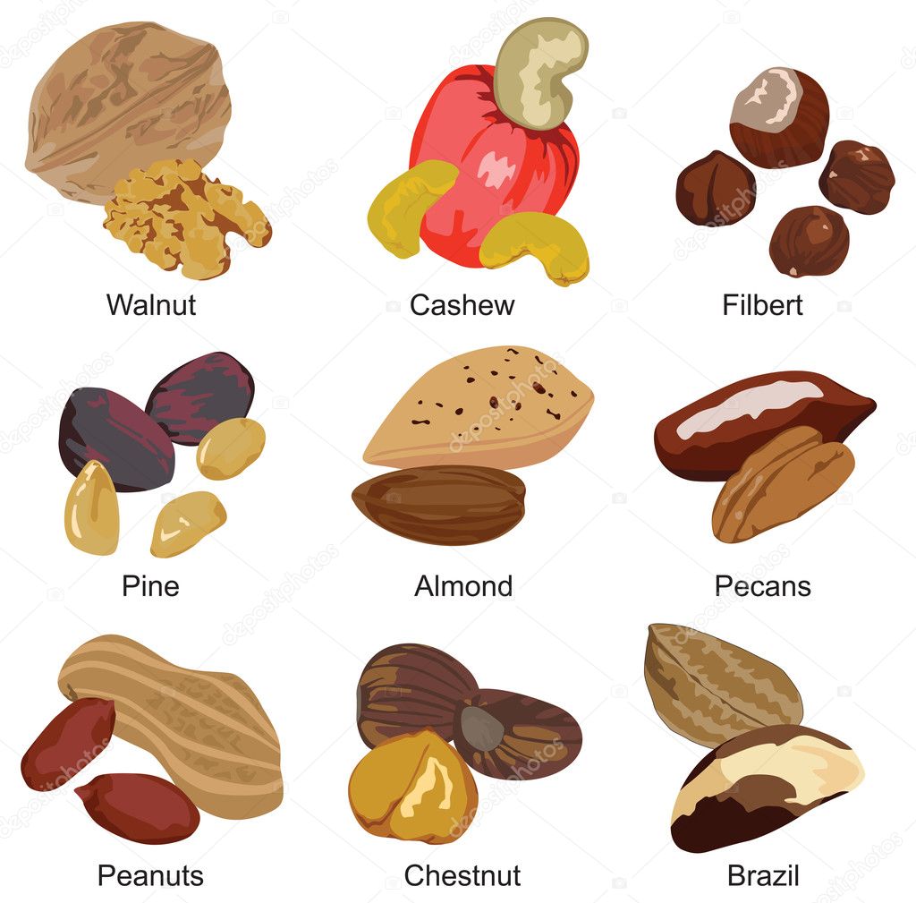 Set of different nuts