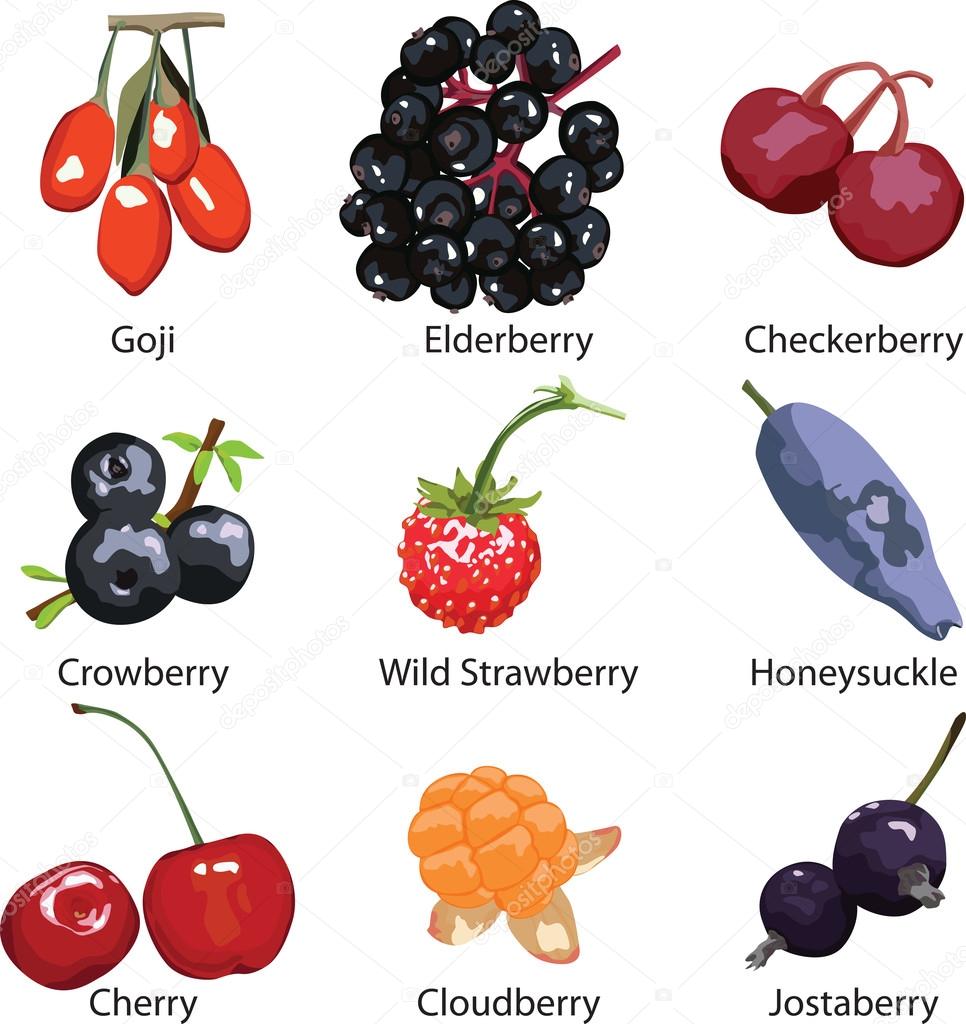 set of different berries on a white background