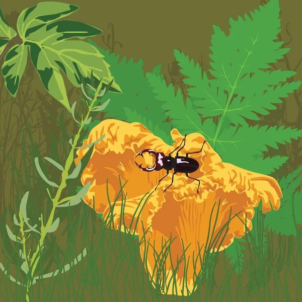 Paysage avec chanterelle champignons dans l'herbe — Image vectorielle