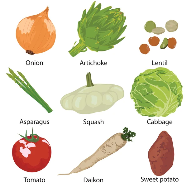 Set vegetables isolated — Stock Vector