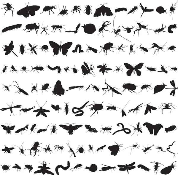 Ensemble de plus d'une centaine d'insectes — Image vectorielle