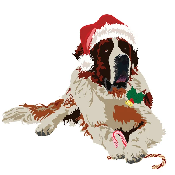 Saint Bernard en chapeau santa claus — Image vectorielle