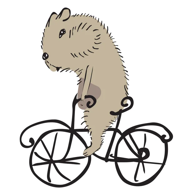 Hamster on a bike — Stock Vector