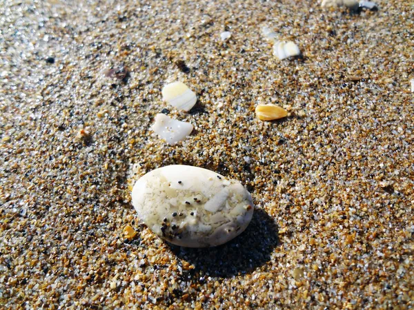 deniz-shore