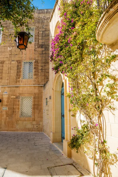 Mdina courtyard with fuchsiaflowers, malta — Stock Photo, Image