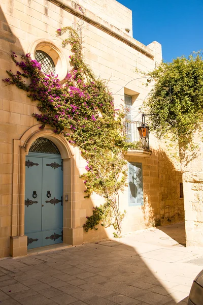 Mdina courtyard with fuchsiaflowers, malta — Stock Photo, Image