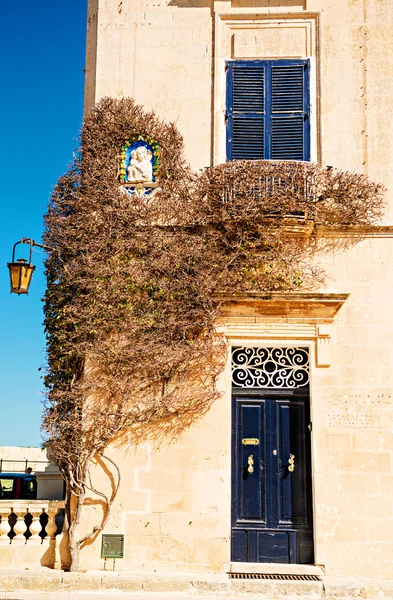 Bougainvillea tree door deuropening in mdina, malta. — Stockfoto