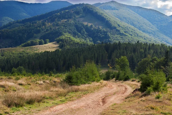 Road in the mountains — Stock Photo, Image