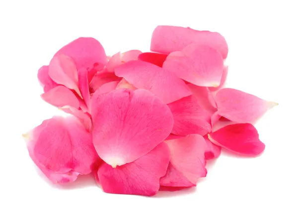 Rose petals — Stock Photo, Image