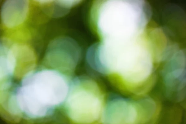 Bokeh — Stockfoto