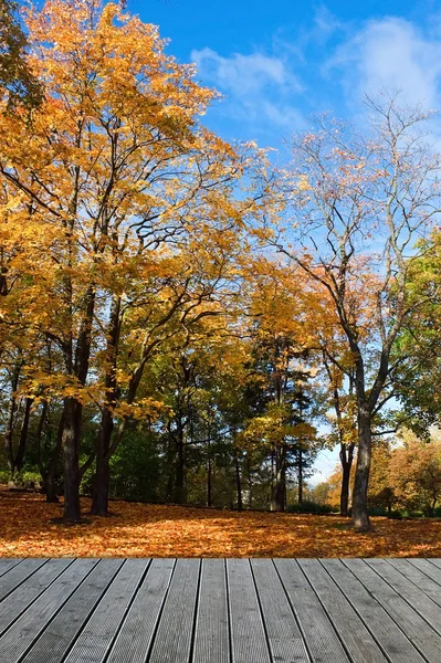 Parque de otoño — Foto de Stock