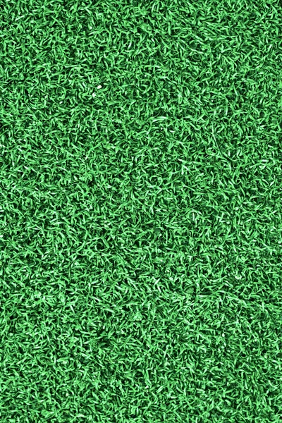 Grass — Stock Photo, Image