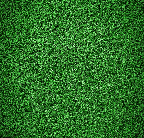 Artificial grass — Stock Photo, Image