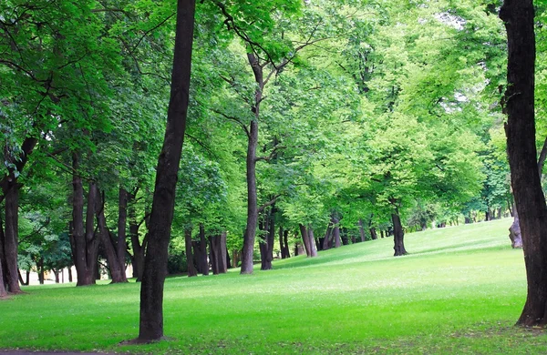 Parque — Fotografia de Stock