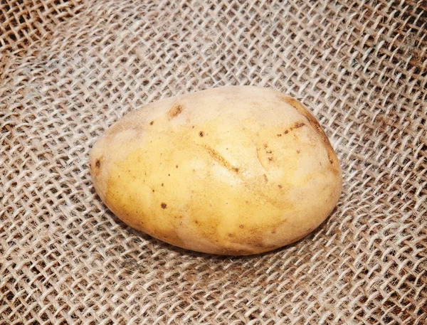 Potatis — Stockfoto