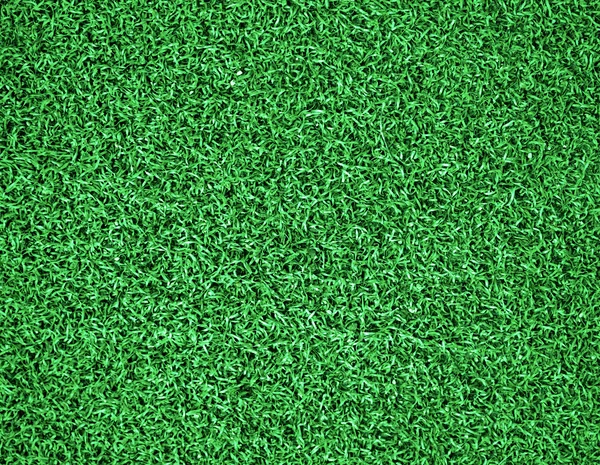 Artificial grass — Stock Photo, Image