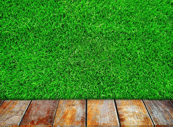 Pradera verde — Foto de Stock