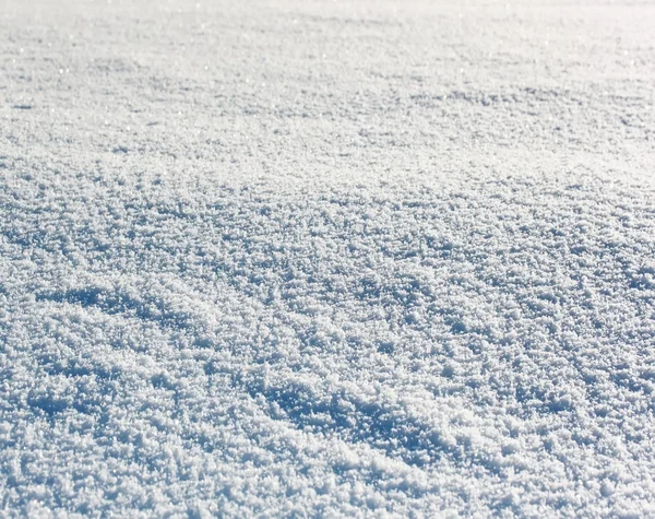 Pradera nevada —  Fotos de Stock