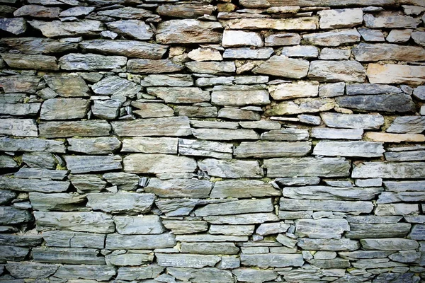 Brick wall — Stock Photo, Image