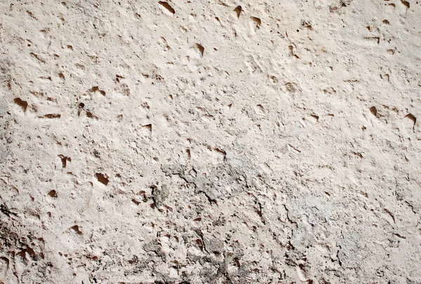 Beton Duvar — Stok fotoğraf