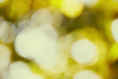 Altın bokeh