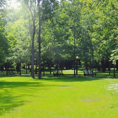 Park