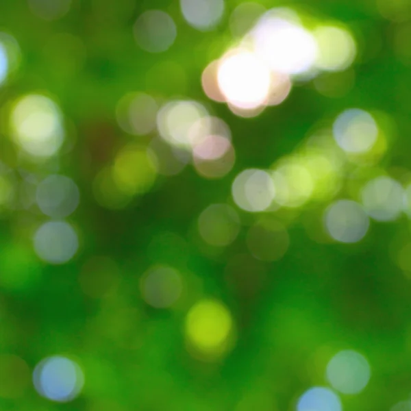 Green bokeh — Stock Photo, Image