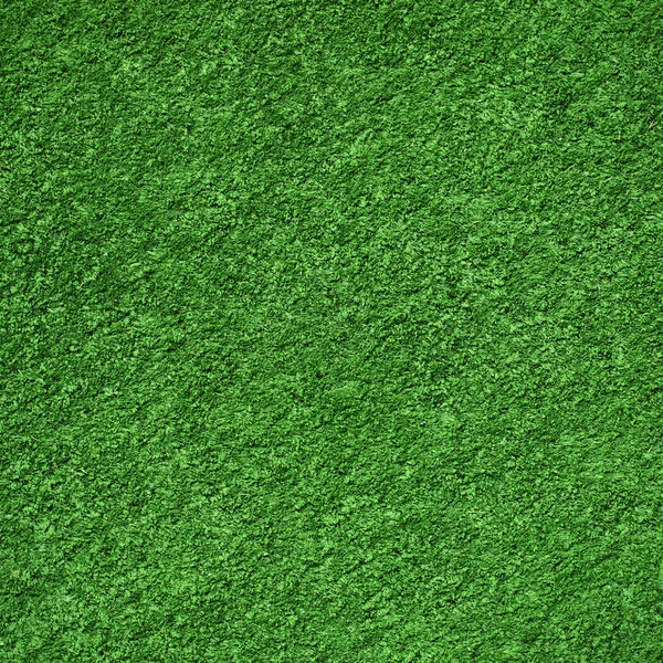 Grass field — Stock Photo, Image