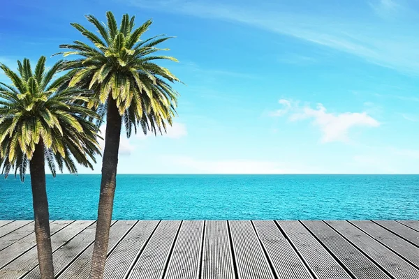 Deniz Manzaralı ve palm — Stok fotoğraf