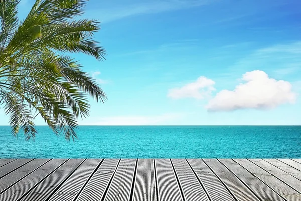 Вид на море и пальмы — стоковое фото