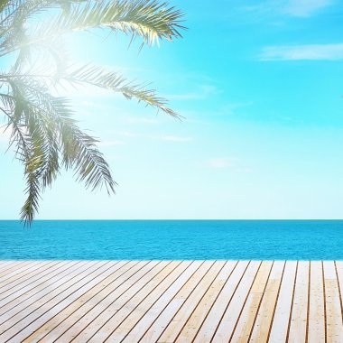 tropikal plaj manzarası