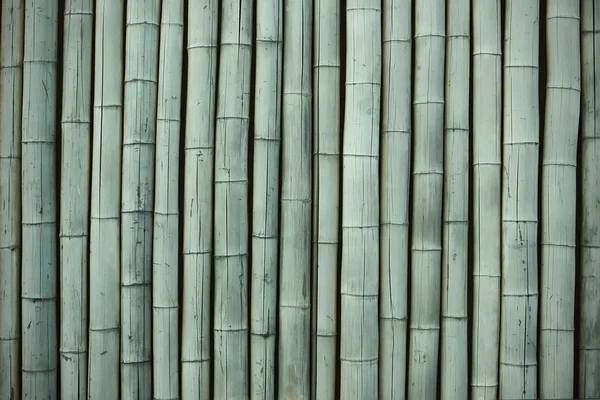 Bambus — Stockfoto