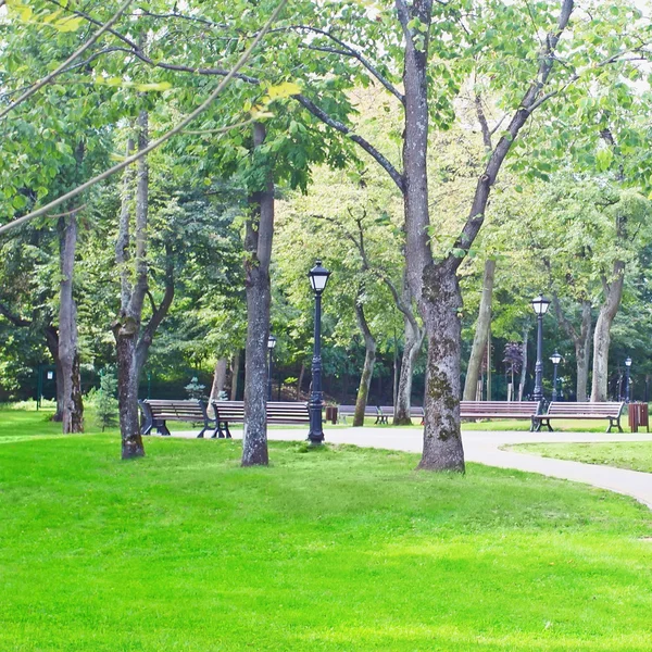 Słoneczny park — Zdjęcie stockowe