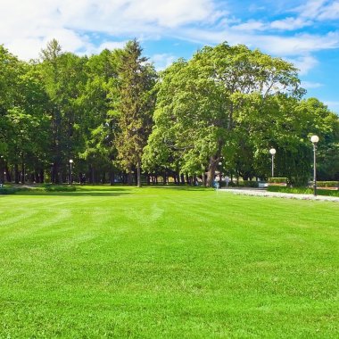 güneşli park