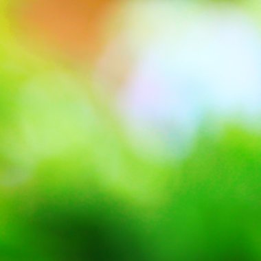 Güneşli soyut yeşil doğa arkaplanı