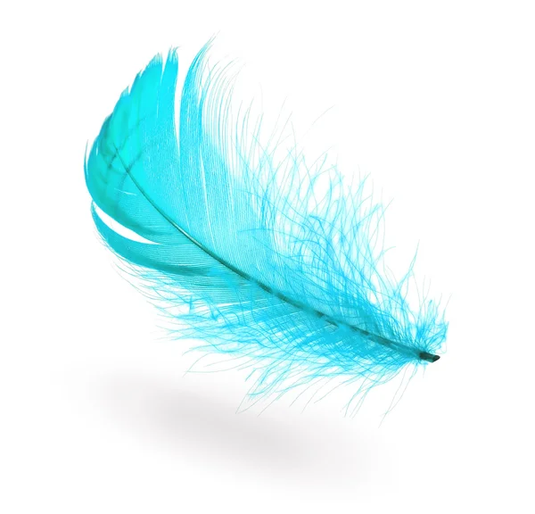 Light blue feather — Stock Photo, Image