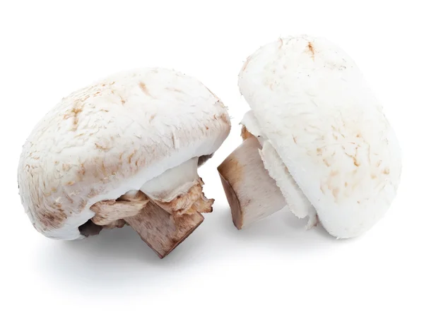 Due champignons — Foto Stock